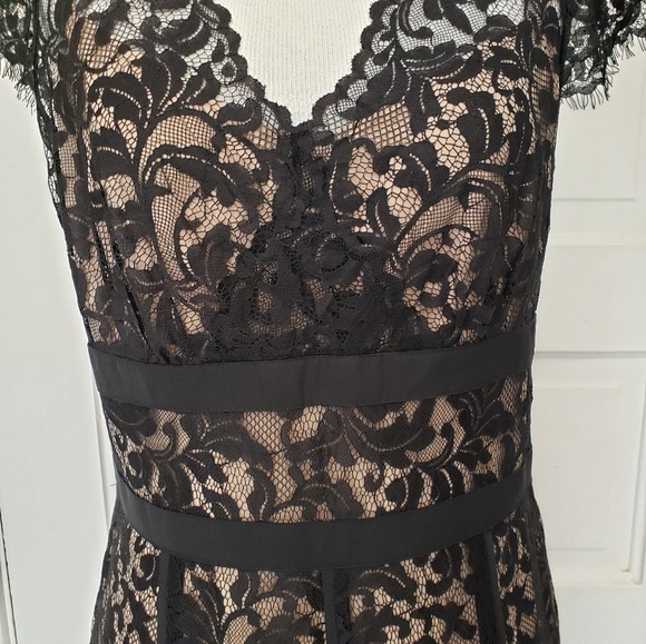 Ann Taylor Loft lace dress - Picture 2 of 6